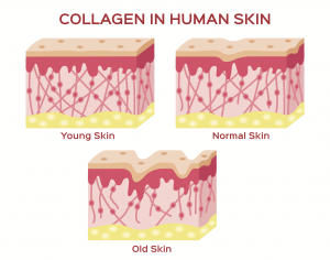 Tất cả về các chất bổ sung Collagen