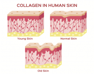 Collagen là gì? - Tất tần tật về chất bổ sung Collagen