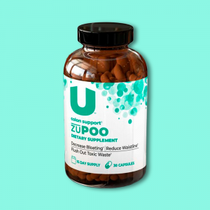 zuPOO Review